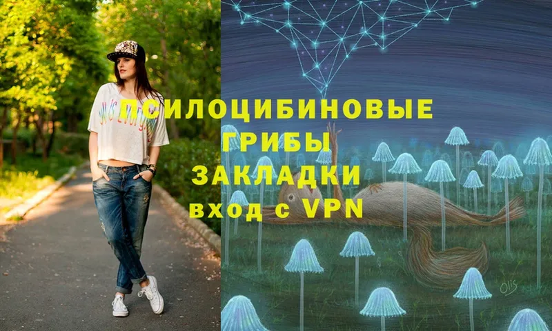 это формула  Новодвинск  Псилоцибиновые грибы Cubensis 